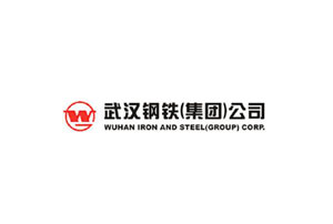 武漢鋼鐵(集團)公司
